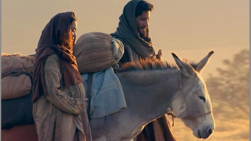 Traga a família e os amigos! O filme "O Cristo Menino" estará em exibição gratuita no Centro de Estaca de Lisboa.